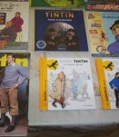 gros lot de BD TINTIN 