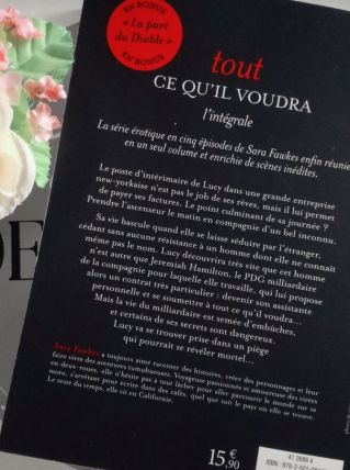 Tout ce qu'il voudra - Sara Fawkes