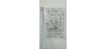 Tampons et matrices pour scrapbooking