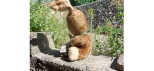 LAPIN PELUCHE ANCIEN 45 CM BON ETAT MARRON