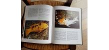 encyclopédie Cousteau