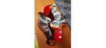 grand plat fruits Vallauris