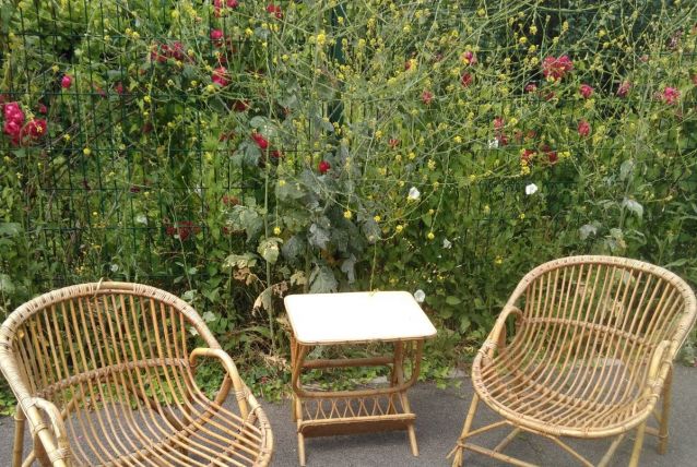 Fauteuils en rotin et table porte revues