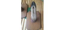 taxidermie-porte fusil patte de chevreuil-patère