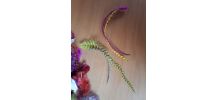 plumes couleur loisir creatif