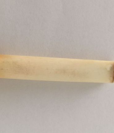 Fume cigarette ivoire et or ancien