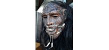 tete resine maori deco