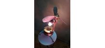 LAMPE collector indus numerote