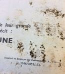 Objectif lune