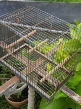 ancienne cage à Oiseaux