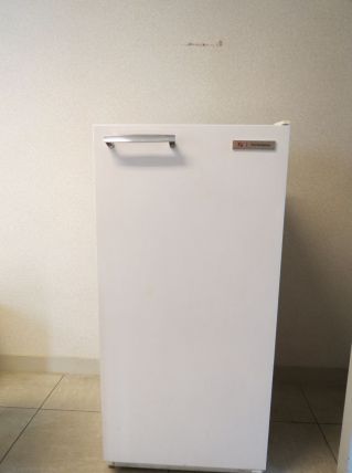 Frigo Thomson Vintage