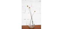 Petit vase transparent
