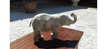 Bibelot éléphant