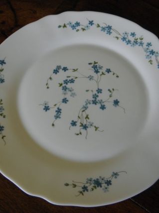 Lot de deux plats vintage