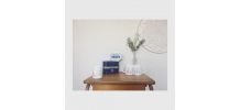 Balance Terraillon 4000 