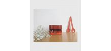 Balance terraillon 4000