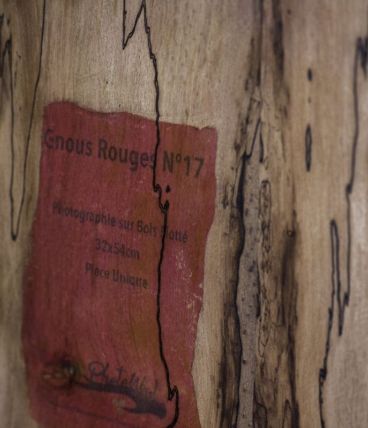  Bois Flotté Photowood Les Gnous rouges