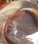 carafe Lalique