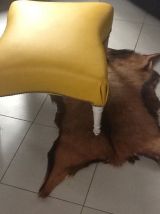 Repose pied 