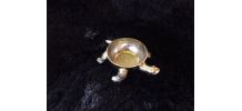 petite coupelle tortue