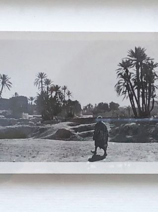 Photo vintage Palmeraie Marrakech années 30