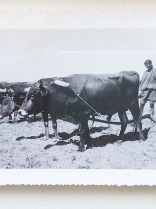 Photo vintage Maroc- Marrakech - 