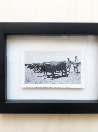 Photo vintage Maroc- Marrakech - 