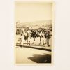 Carte postale ancienne avant 40 Maroc chameaux
