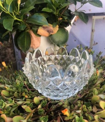 Coupelle pot en verre
