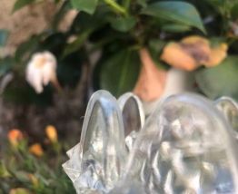 Coupelle pot en verre