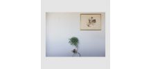 Cendrier porte-plantes 