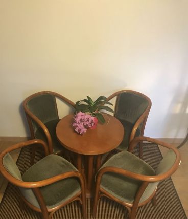 Petit salon Baumann
