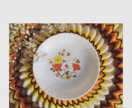 Assiettes arcopal 