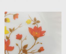 Assiettes arcopal 