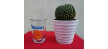 lot de 6 verres "Orangina" Matali Crasset 2006