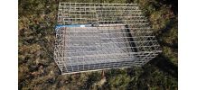 cage transport volaille