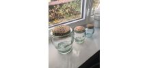 Bocal ancien vert lot 