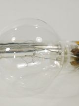 Lot d'ampoules anciennes