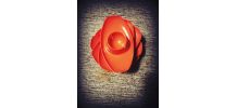vintage coquetiers plastique orange empilables design RDA