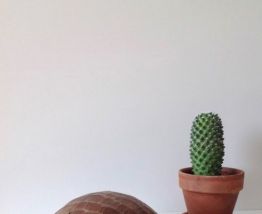 Bol ou saladier en bois 