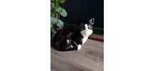 Figurine chat