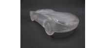 Voiture en verre