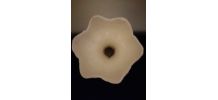 Petit vase blanc fleur