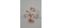 Arbre pierre