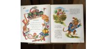 Les surprises de petit lion