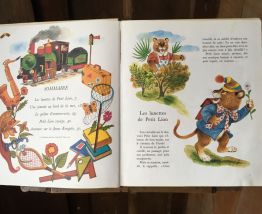 Les surprises de petit lion