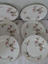 6 assiettes ancienne porcelaine de limoge 
