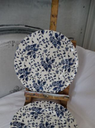 porcelaine anglaise Royal Tudor Grndley 2 assiettes à desser