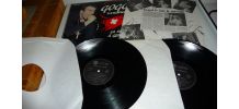 Vinyl Gogol  et sa horde RARE