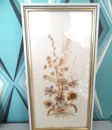 herbier ancien  encadré